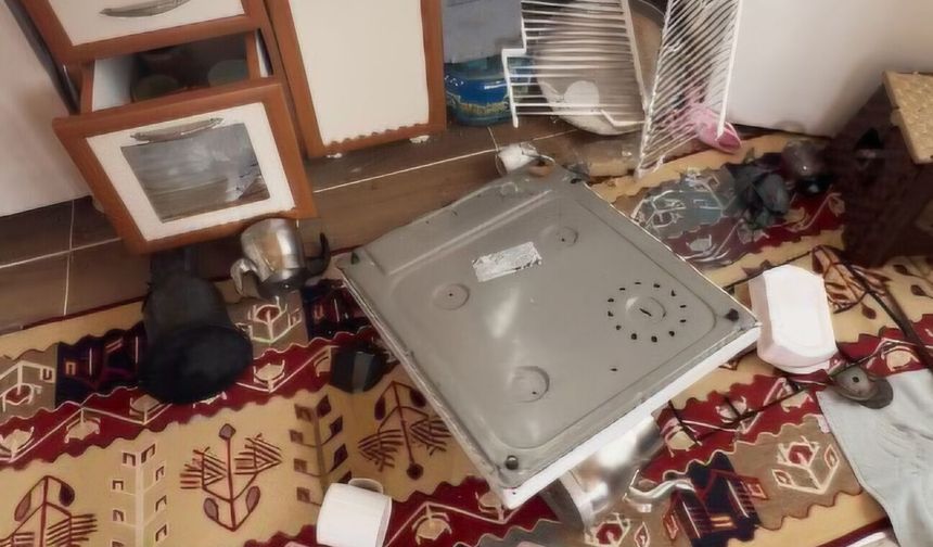 Ayılar Trabzon'da yaylalardan sonra mahallelere dadandı