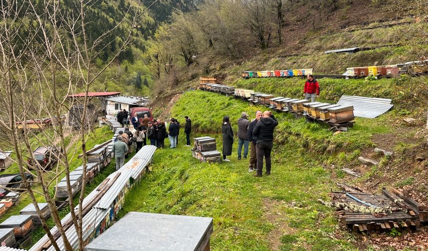 'Bal Çalıştayı' Artvin'in marka değerine güç katacak