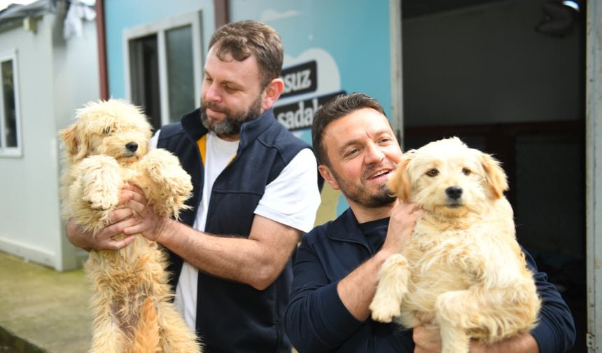 Dünya Sokak Hayvanları Günü'nde anlamlı çağrı