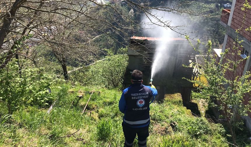 Büyükşehir Belediyesi'nden kokarcayla mücadeleye destek