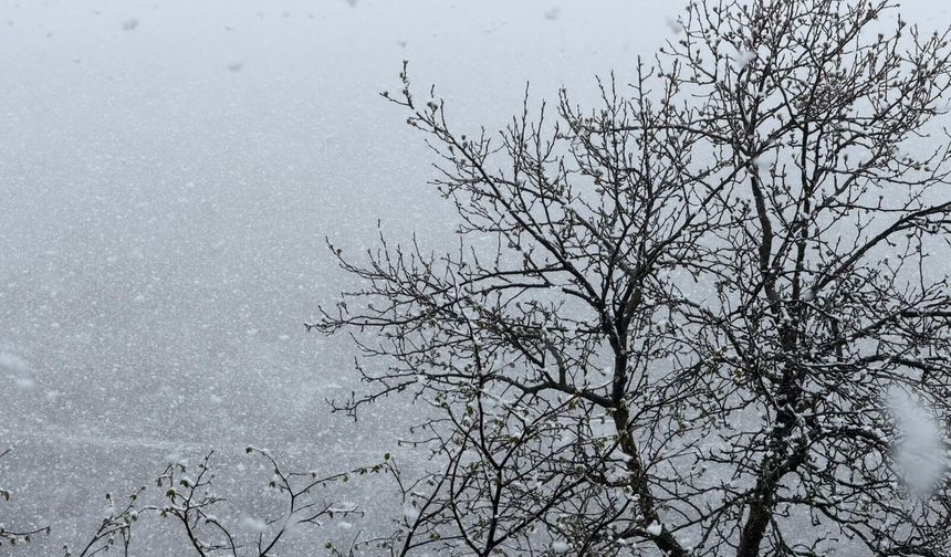 Zigana Dağı'nın yüksek kesimlerinde Nisan ayının ortasında lapa lapa kar süprizi