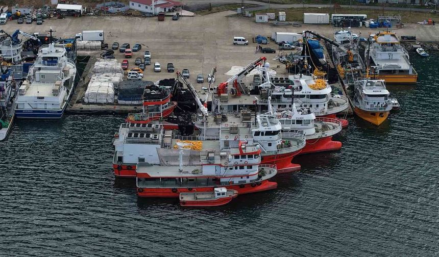 Balık av sezonu biterken, balıkçılar sezonu değerlendirdi
