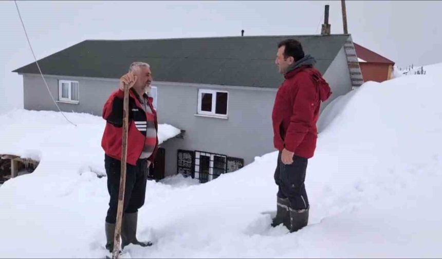 Kar altında ayı nöbeti