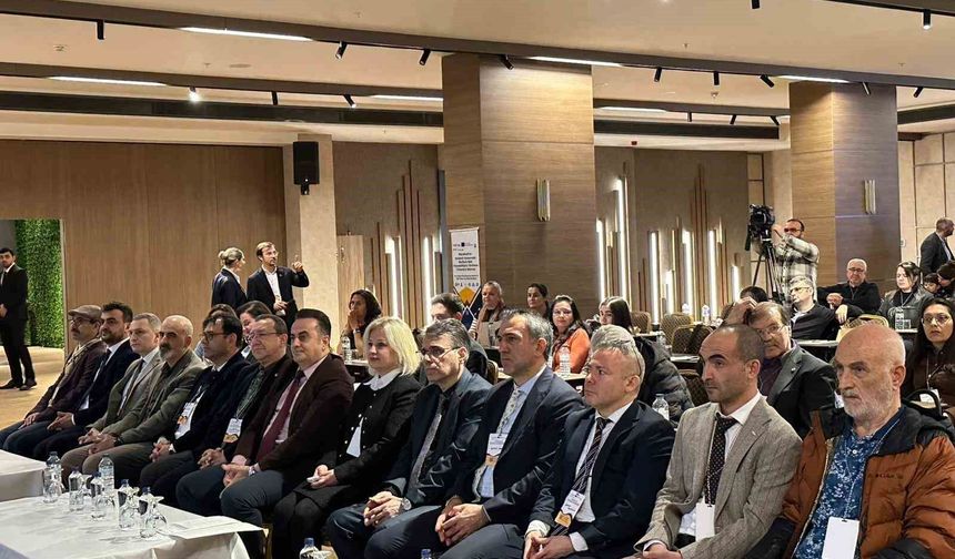 Karadeniz resiflerinde balık çeşitliliğini izleyecekler