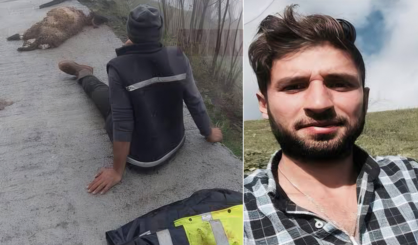 Araklı’da ihmal iddiası: Açıkta bırakılan kablo koyunları telef etti, besici akıma kapıldı