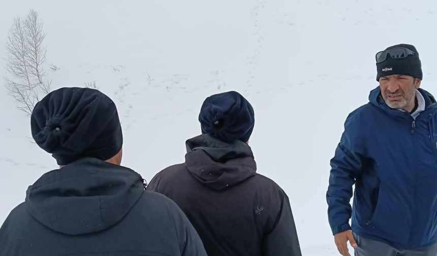 Uzman ekipten çığ bölgesinde inceleme: 95 gündür kayıp çoban için arama şartları oluşmadı