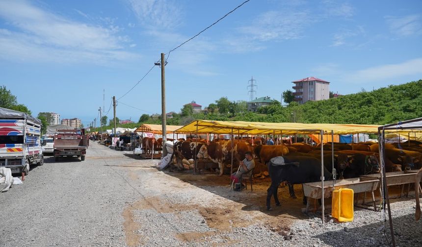 Ortahisar'da kurban hazırlıkları tamamlandı