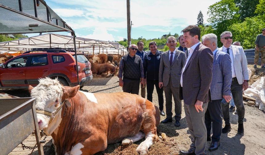 Başkan Kaya,kurban pazarını ziyaret etti