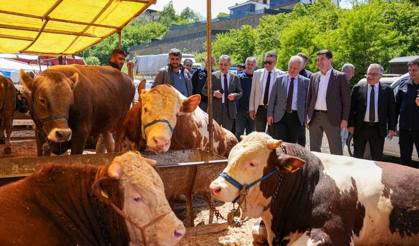 Ortahisar,Kurban Bayramı'na hazır