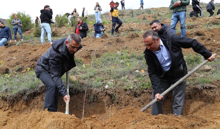 Her ünvana bir ağaç: Anlamlı proje