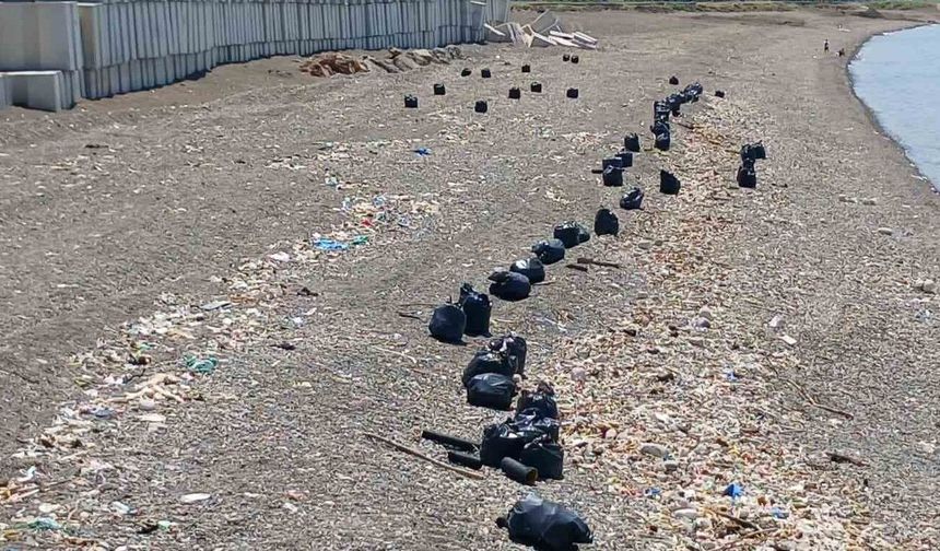 Trabzon sahilinde çöp seferberliği
