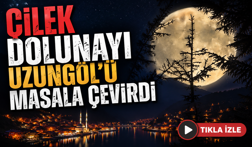 Uzungöl'de geceyi aydınlatan büyüleyici manzara