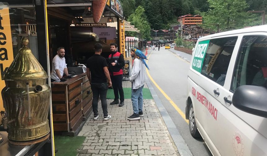 Uzungöl'de turizm sezonu öncesi sıkı denetim