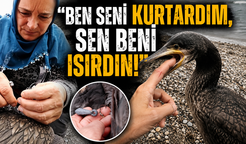 Kurtardı ama ısırıldı: Karabataktan unutulmaz teşekkür