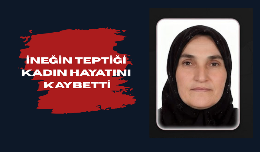 İneğin teptiği kadın hayatını kaybetti