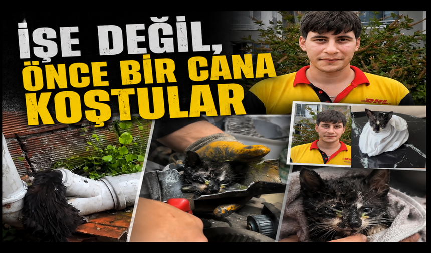 Borudan gelen ses hayat kurtardı!