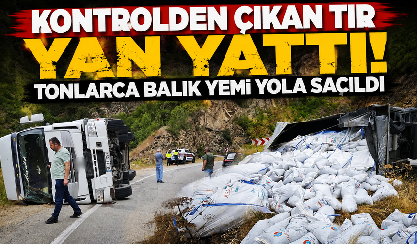 Gümüşhane'de korkutan kaza! Balık yemi yüklü tır devrildi