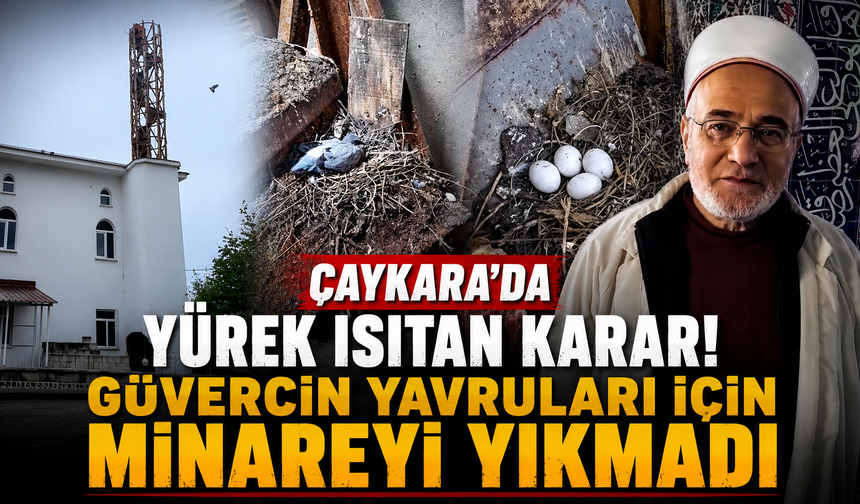 Bir yuva için beklediler! Trabzon'da duygulandıran karar