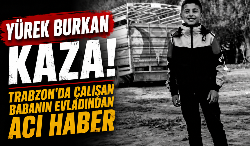 Feci kaza minik Hatip'i hayattan kopardı! Sürücü aranıyor