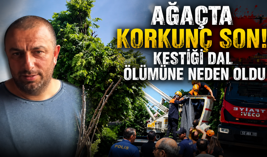 Bir dal, bir hayat: Ihlamur toplarken akıma kapıldı