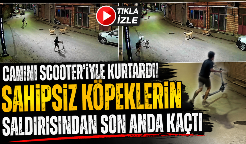 Saniyelerle kurtuldu! Sahipsiz köpeklerin saldırısı kamerada
