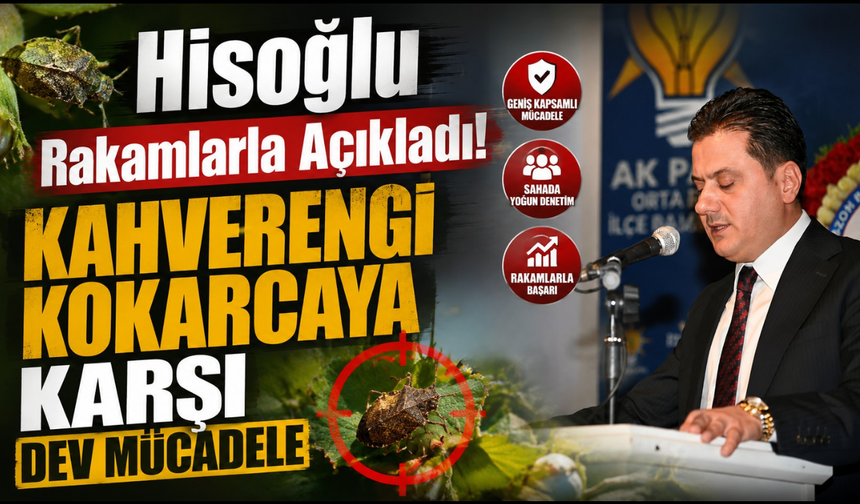 Kokarcaya karşı 140 bin Samuray Arısı! Trabzon’da biyolojik mücadele