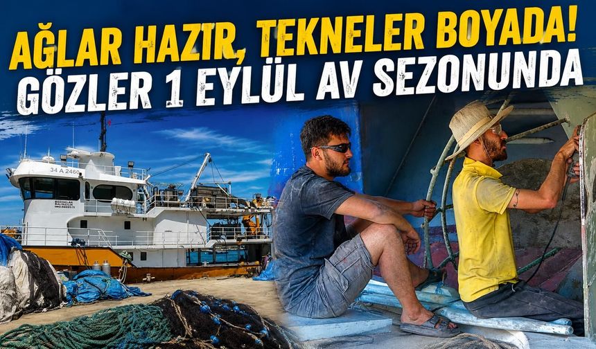 "Karadeniz'de bereket alarmı! Balıkçılar: 'Bu yıl palamut patlaması bekliyoruz'"