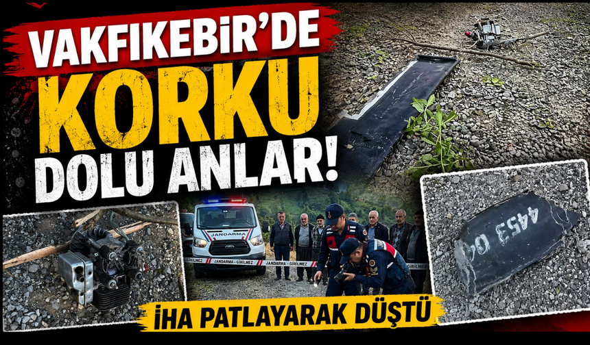 Trabzon'da patlayıcı yüklü İHA alarmı! Ağaca çarpıp infilak etti