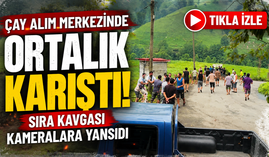 Rize'de çay mesaisi gergin geçti! Sıra tartışması büyüdü