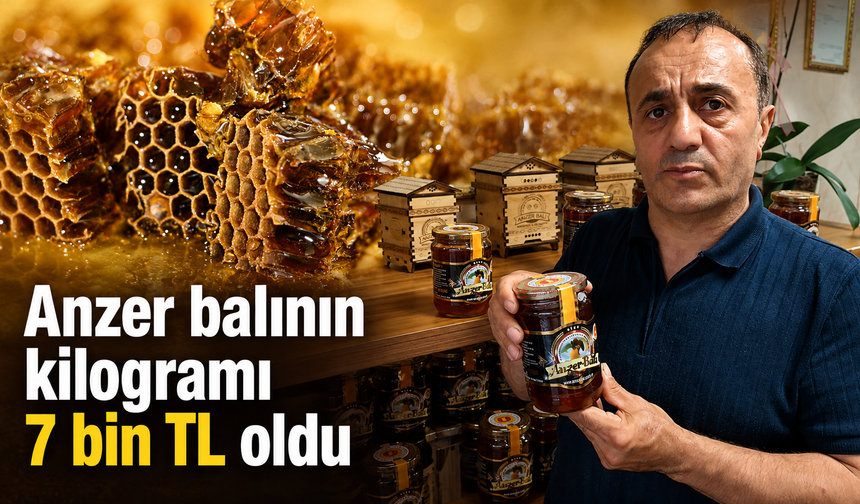 Anzer balında hasat tamamlandı, fiyat netleşti