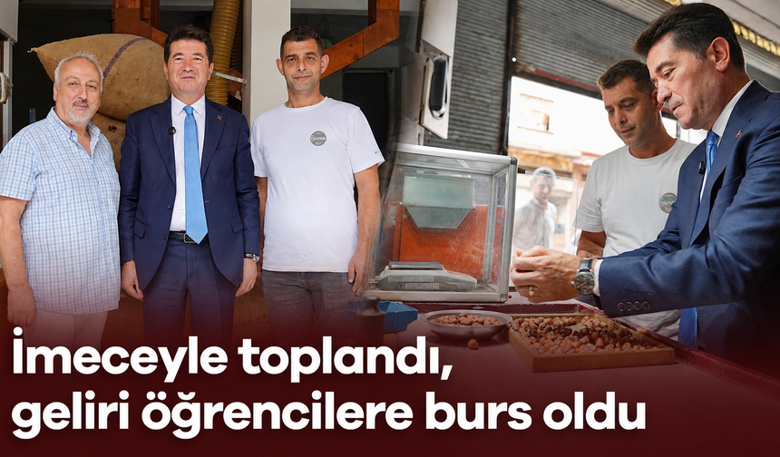 Fındıklar satıldı, geliri öğrencilere burs oldu
