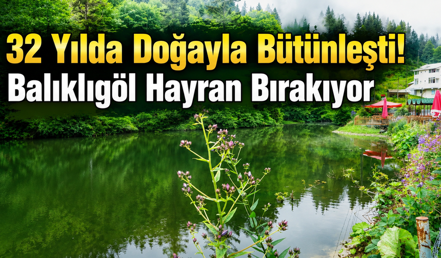 Sis,çam ormanları ve Balıklıgöl... Trabzon'un saklı hazinesi ilgi odağı