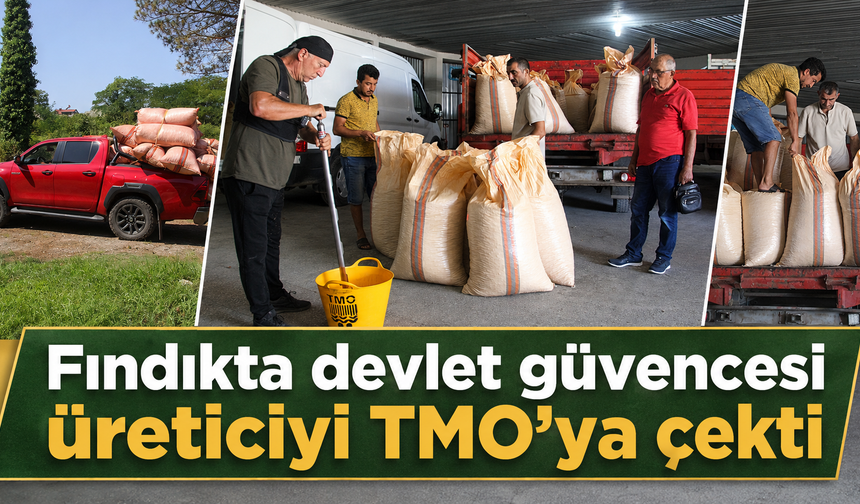 Serbest piyasaya fiyat tepkisi: Üretici TMO’yu seçti