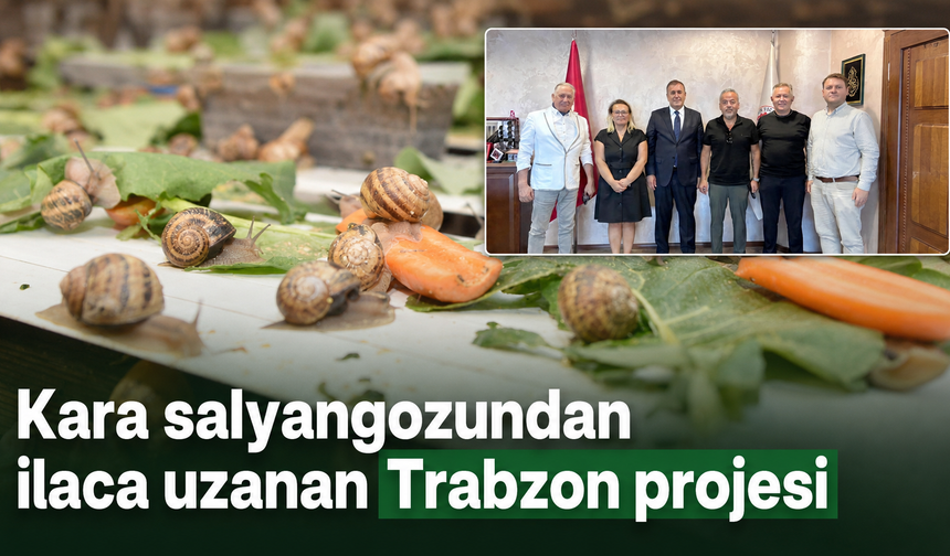 Trabzon’da salyangozdan katma değer üretilecek
