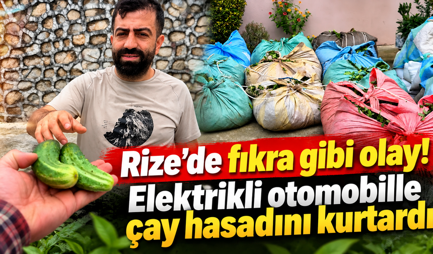 İki salatalığa 20 bez çay!