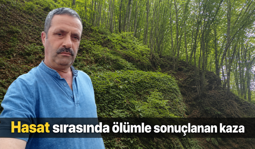 Fındık toplarken dengesini kaybetti, yaşamını yitirdi