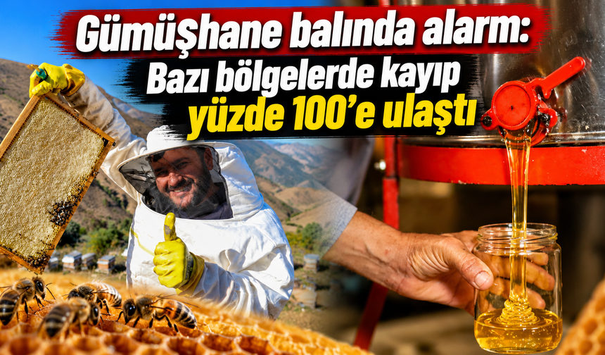 Arıcılar uyardı: “Tanıdık üreticiden, analizli bal alın”