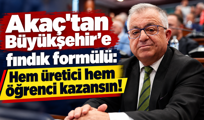 Trabzon'da fındık için sıra dışı öneri!