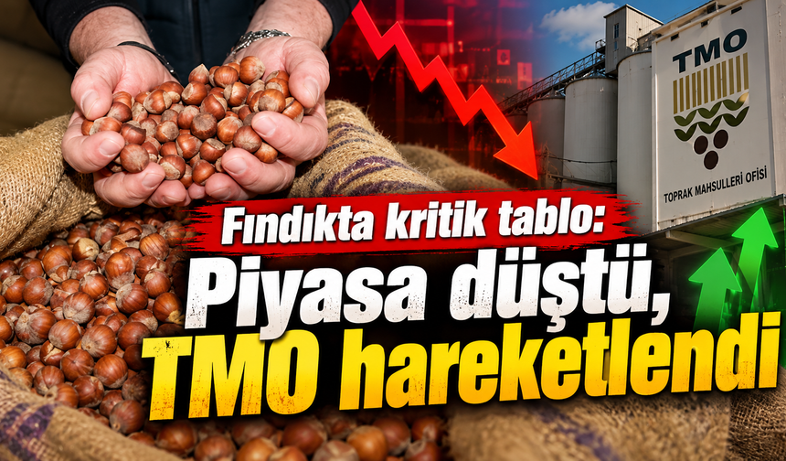 Üretici beklediğini bulamadı! Fındıkta fiyatlar geriliyor