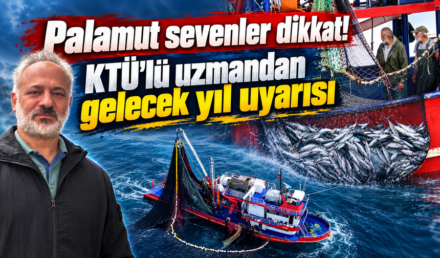 “Palamut sevenler dikkat! Gelecek yıl aynı bolluk olmayabilir”