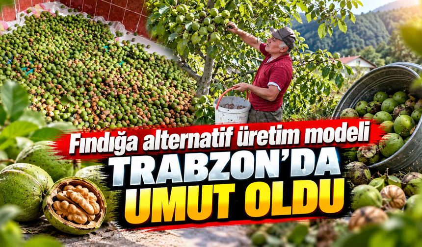 Trabzon'da cesur karar meyvesini verdi