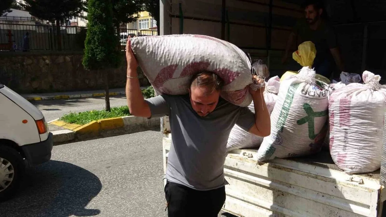 Giresunda Serbest Piyasa Findik Fiyati Tmonun Fiyatlarinin Uzerine Cikti 20250815 A W518397
