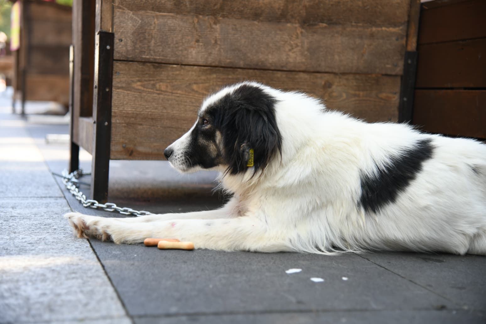 36Ef8E34 Cce1 4A89 Bf59 F2C9D0535864