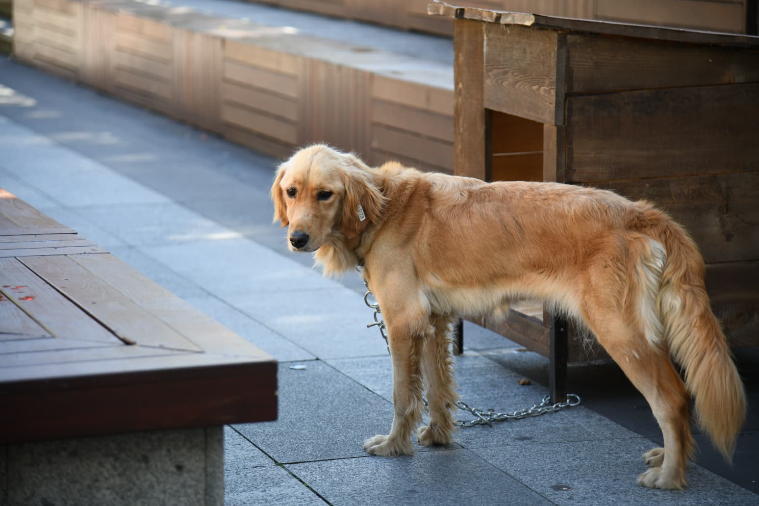 96D1F1D4 31B3 4A9A 8Ba2 600783D4C125