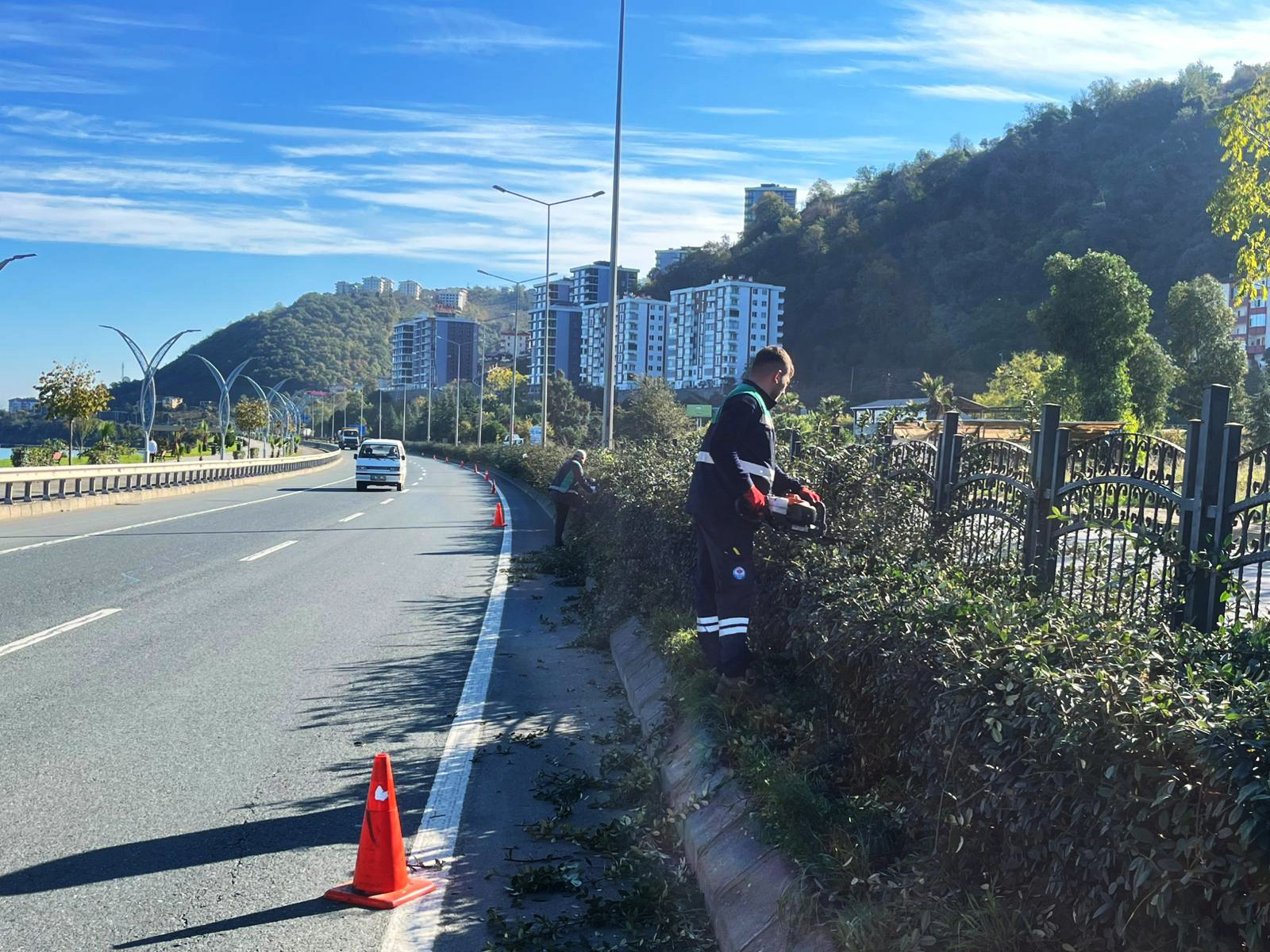 47D29773 B5A5 42C8 95D4 0Fa59E5A5Ab5