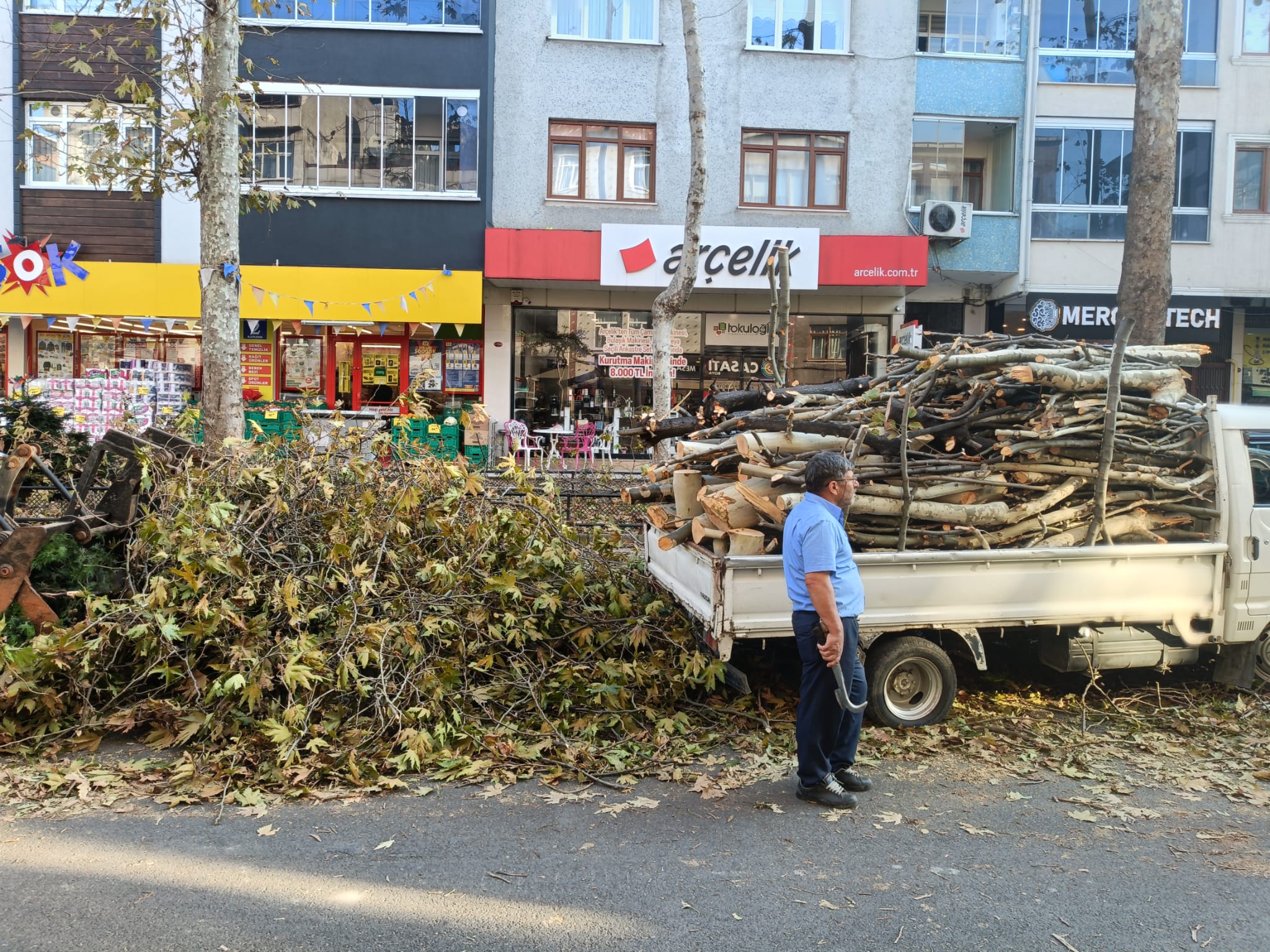 5A11C91B F40C 4E13 9Da0 150Ed2244922