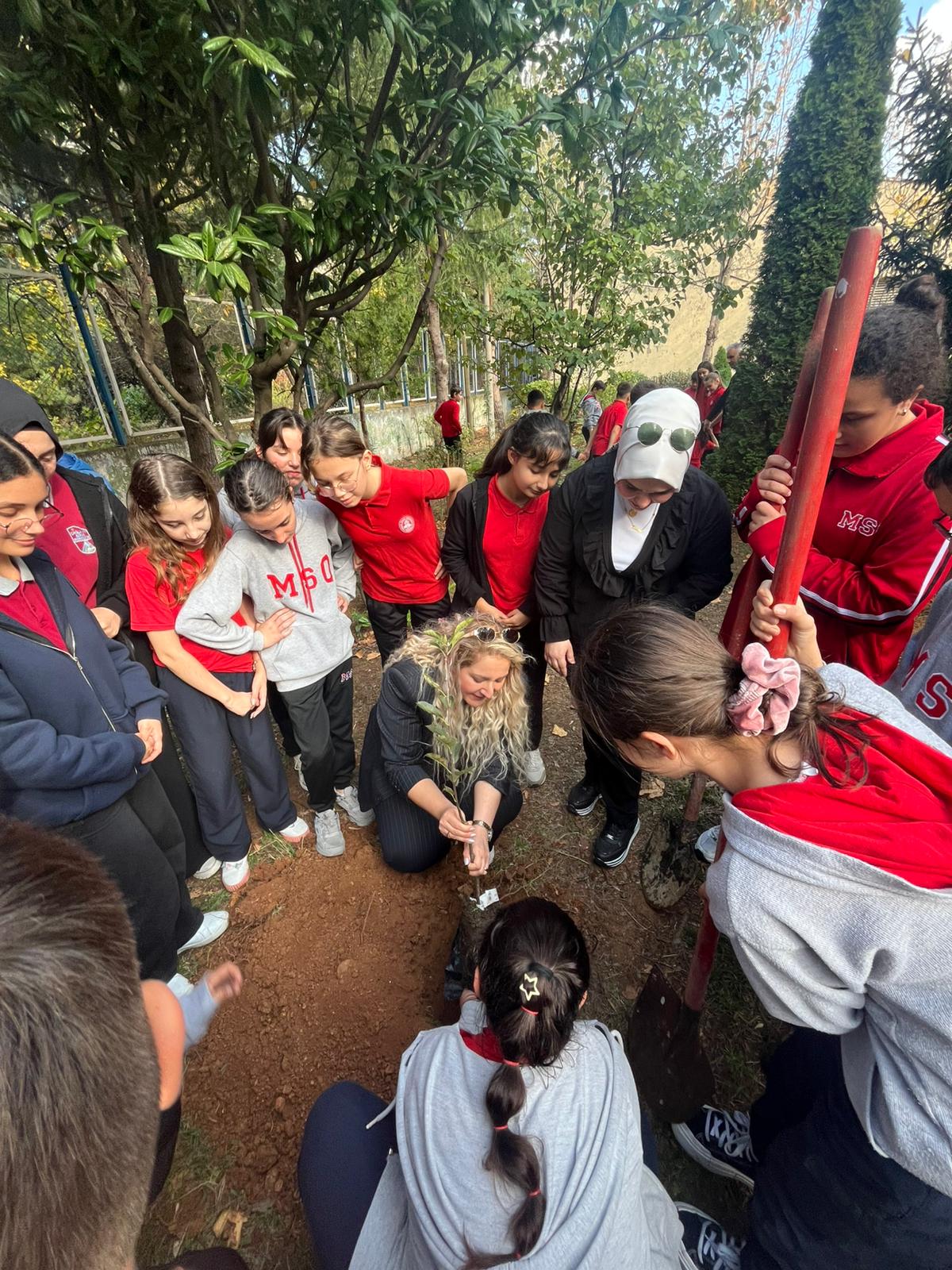 I M G 20251108 W A0006