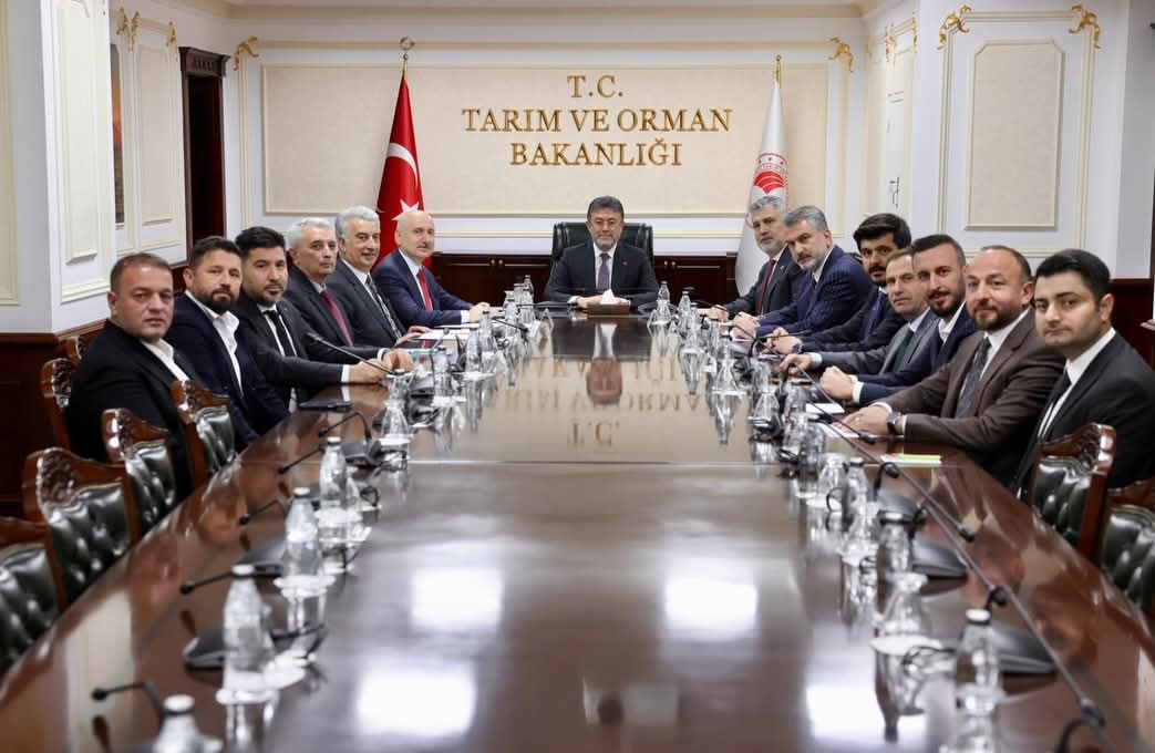 1B5Ff99E 5E72 45B9 8485 D737E0F19829