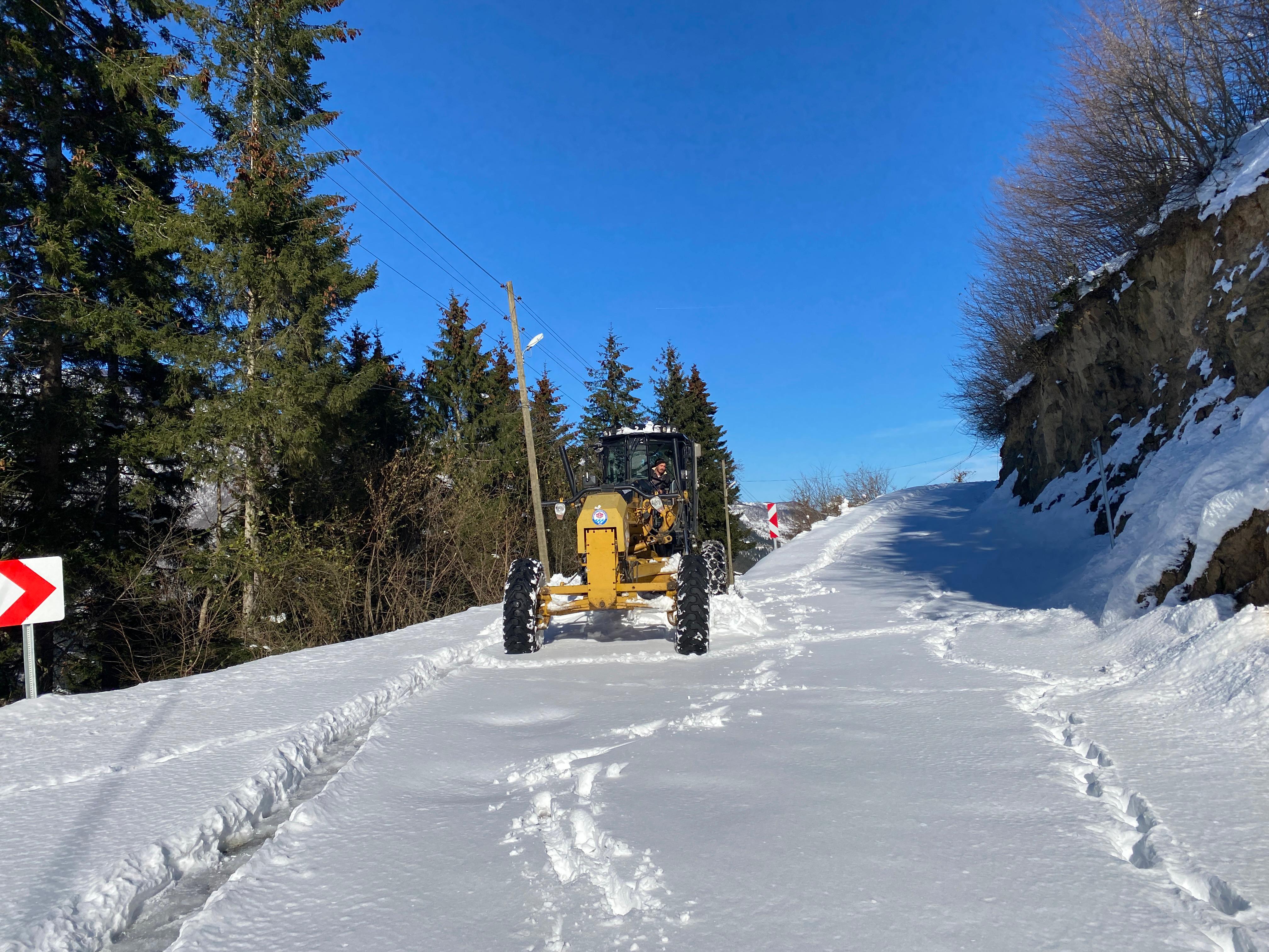 I M G 20260103 W A0015