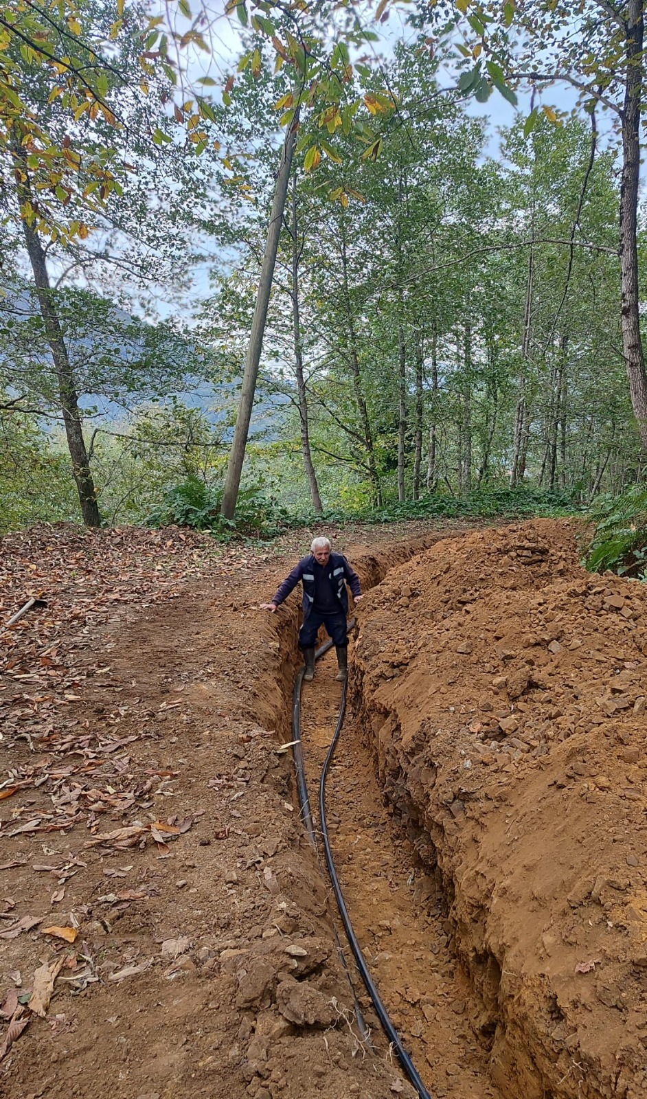 I M G 20260117 W A0006